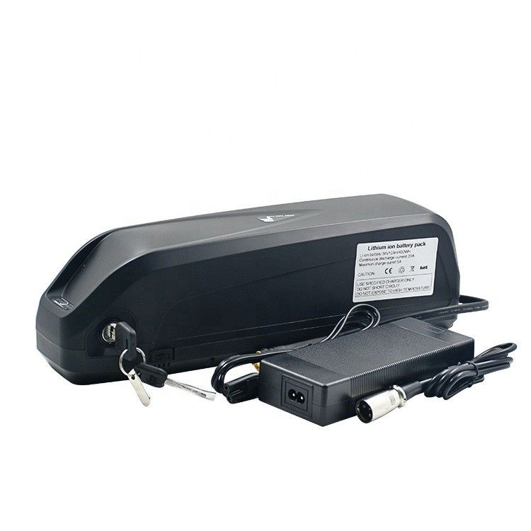প্রতিস্থাপন হাইলং 48V 1000W চার্জার সহ বৈদ্যুতিক যানবাহন ব্যাটারি ই-বাইক প্রতিস্থাপন লিথিয়াম ব্যাটারি