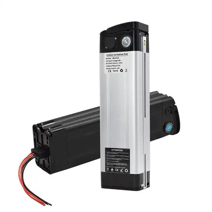 উচ্চ মানের সিলভার ফিশ ব্যাটারি 48V 20ah লিথিয়াম আয়ন ই-বাইক ব্যাটারি 1000W ইলেকট্রিক সাইকেল ইবাইক Akku জন্য